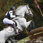 2016-10-QuilateAA-cross3-mondial-du-lion