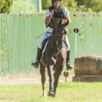 ALMENARA ALTA
Anglo Árabes-
Écija (Sevilla)