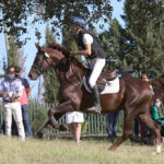 2020-GSAA-Adalid-semental-5