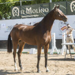 2021-10-yeguada-almenara-alta-COCA-GGSS-4