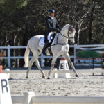 2022-02-quilate-doma