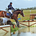 Ingrato-Roldan-I-RAET-5